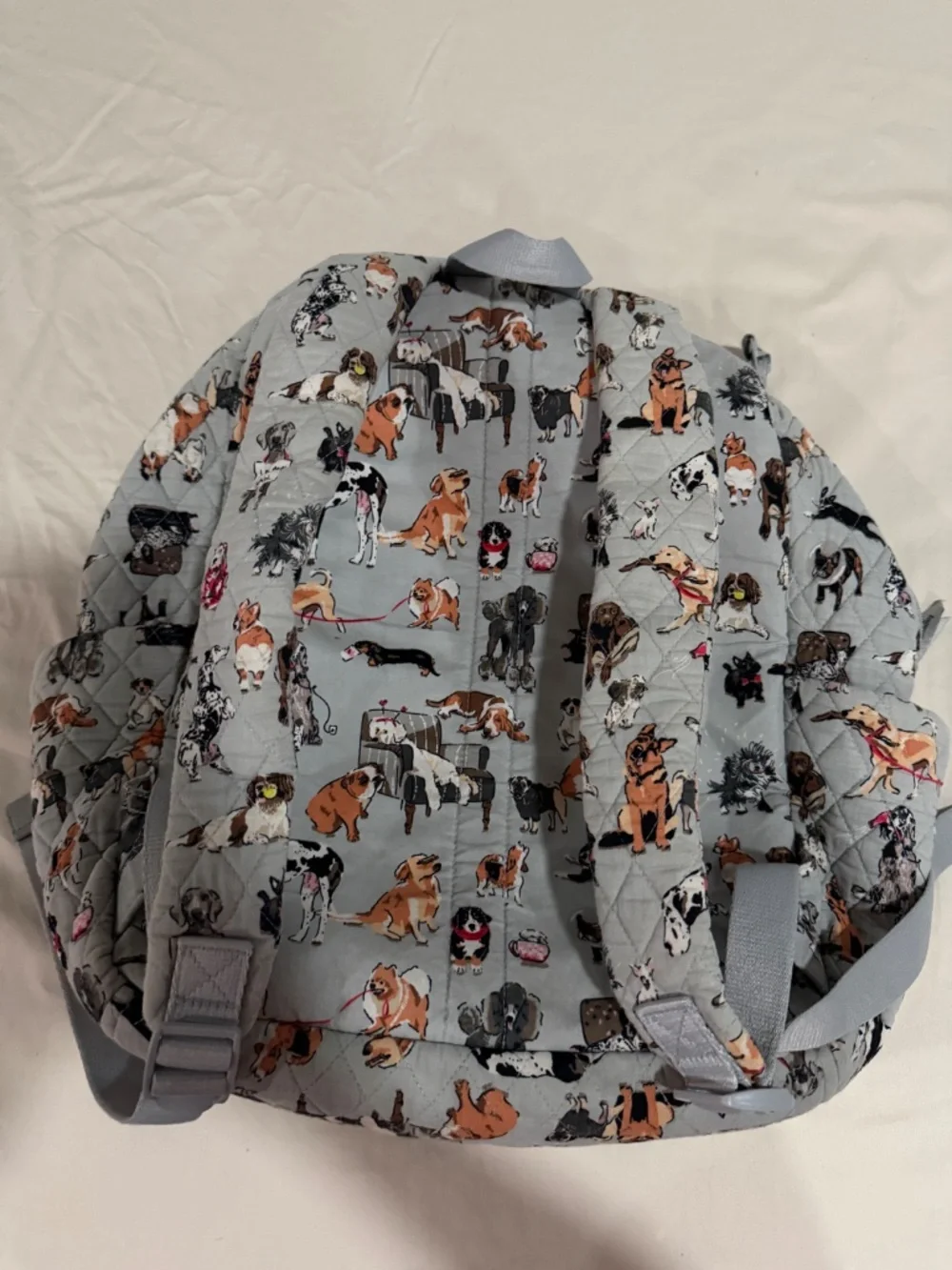 Vera Bradley Dog Backpack